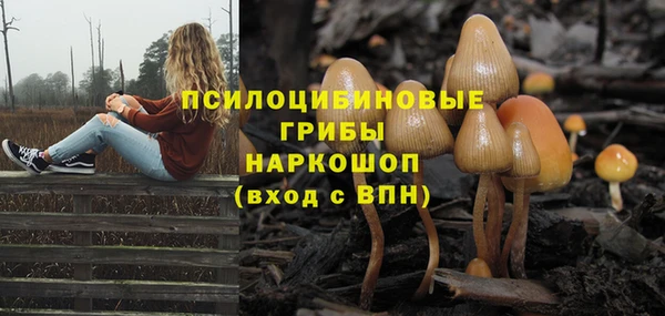 бошки Абаза