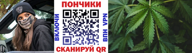 где найти наркотики  Нижняя Тура  Каннабис планчик 